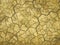 Background looks like the stone floor of a flooded old building in Venice. The concept of restoration and renovation of