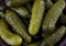 Background of a lot of pickled cucumbers. Salted cucumbers