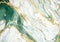 Background with a luxurious green gold marble texture.