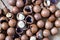 Background macadamia nut with shell