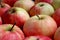 Background many apples large juicy ripe autumn