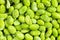 Background - many frozen Edamame unripe soybeans