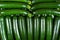 Background of many pieces of zucchini, overhead view, studio food photography