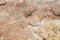 background - marble texture unprocessed pink natural stone