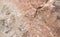 background - marble texture unprocessed pink natural stone