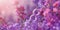 background for March 8, purple background with flowers