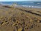 background with a marine panorama, details of the Jesolo beach in the Venetian metropolis.