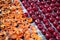 Background of mellow cherry and apricot berries prepared for sun-drying