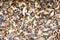Background of mixed sliced forest mushrooms.