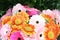 Background from multi-colored gerberas. Pink, yellow, white flowers. Gardening and growing flowers. Floristics and bouquets