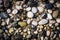 Background of multicolored sea pebbles on the beach. Small color wet stones gravel texture background