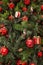 Background of natural and artificial pine branches with old Christmas decorations figurines, cones and red balls