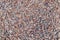 Background of natural grey granite crushed stone, macadam. Macro photo of texture of broken stone or rubble with place