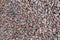 Background of natural grey granite crushed stone, macadam. Macro photo of texture of broken stone or rubble with place