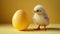 Background new life newborn hairy together one happy lone chick pretty born