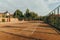 Background. Old abandoned tennis court at sunset. Not a working tennis court as a shooting location