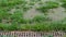 Background of old rusty metal drain grid beside patchy grass