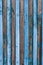 Background from old shabby blue narrow boards with two rows of nails.