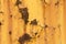 Background of old yellow painted wall. Rust and peeling paint