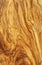 Background olive wood