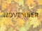 Background of orange maple leaves with congratulatory inscription November