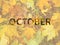 Background of orange maple leaves with congratulatory inscription October