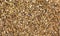 Background of organic dry calamus root. The Latin name is Acorus calamus. Close-up of background texture. Top view. The concept of