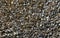 Background Pattern, Asphalt Road Texture. Small stones, minerals, thrash, gravel, and chalk are used to hold trees and