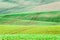 Background/pattern with curves of wavy rolling textured rural fields