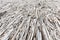 Background Pattern Dead Driftwood Disaster Concept