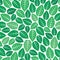 Background pattern with fresh mint leaves