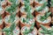 Background pattern of small cactus in terracotta pots