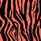 Background pattern texture tiger and zebra stripe black jungle safari. Color trend palette. Living Coral color. Tiger and zebra