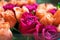 Background of peach and crimson roses. Beautiful coral roses, flowers bouquet close up. Bouquet of crimson and peach roses.