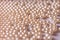 Background of pearl beads closeup.