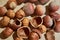 Background of peeled hazelnut kernels and shells and whole nuts