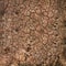 Background photo of cracked burnt clay soil. Brown land requiring watering