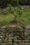 Background photo of a short stone wall and grass