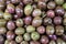 Background of pickled green and pink olives. closeup