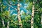 background picture, birch grove, generated by ai, generative assistant. wallpaper background,