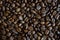 Background picture, fresh roasted coffee beans,whole bean coffee