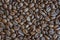 Background picture, fresh roasted coffee beans,whole bean coffee