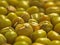 Background Picture of Mung Beans