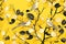background picture, trees on a yellow background, generated by AI, generative assistant. wallpaper background,