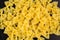 Background of A pile of farfalle pasta