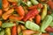 Background of a pile of fresh chilies with different colors and ripeness.