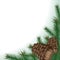 Background with Pine Branches and Cones