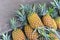Background pineapple hawaii. Ripe baby pineapple. Tropical fruits. Top view. Free space for text
