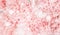 Background of pink carnations flowers