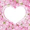 Background of pink peony with heart